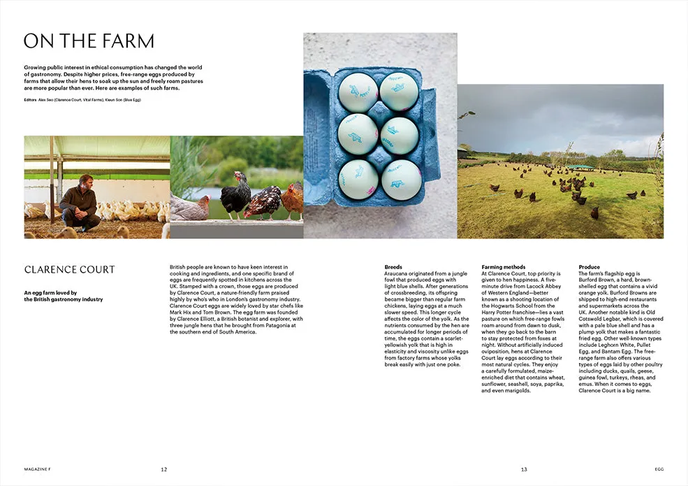Magazine F - Issue 15 Egg