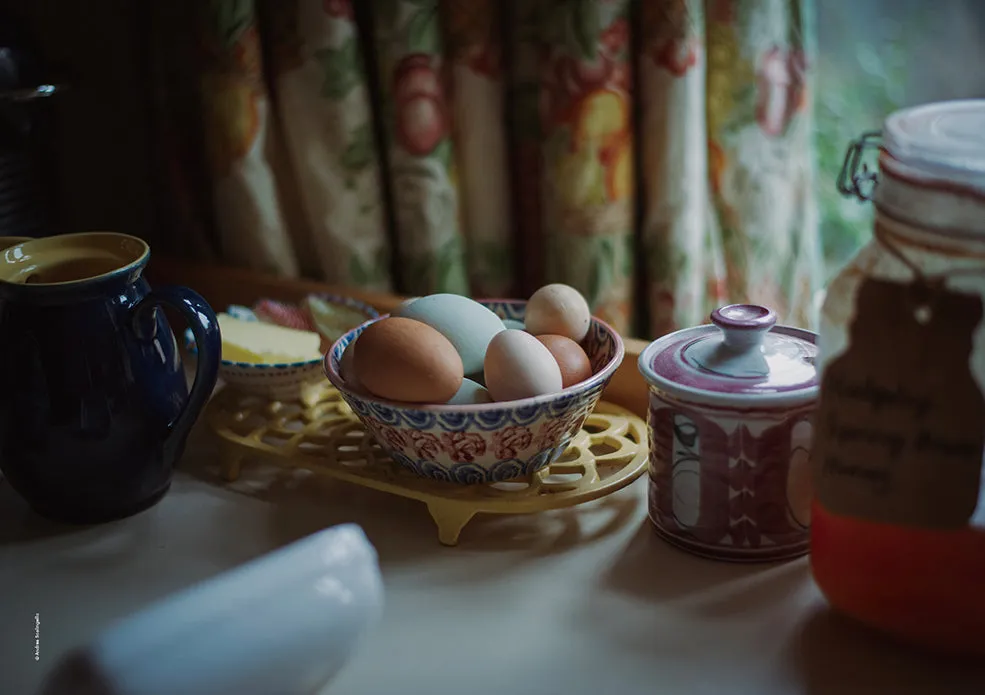 Magazine F - Issue 15 Egg